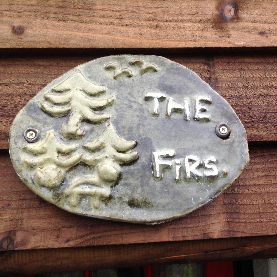 شقة The Firs بيلث ويلز المظهر الخارجي الصورة